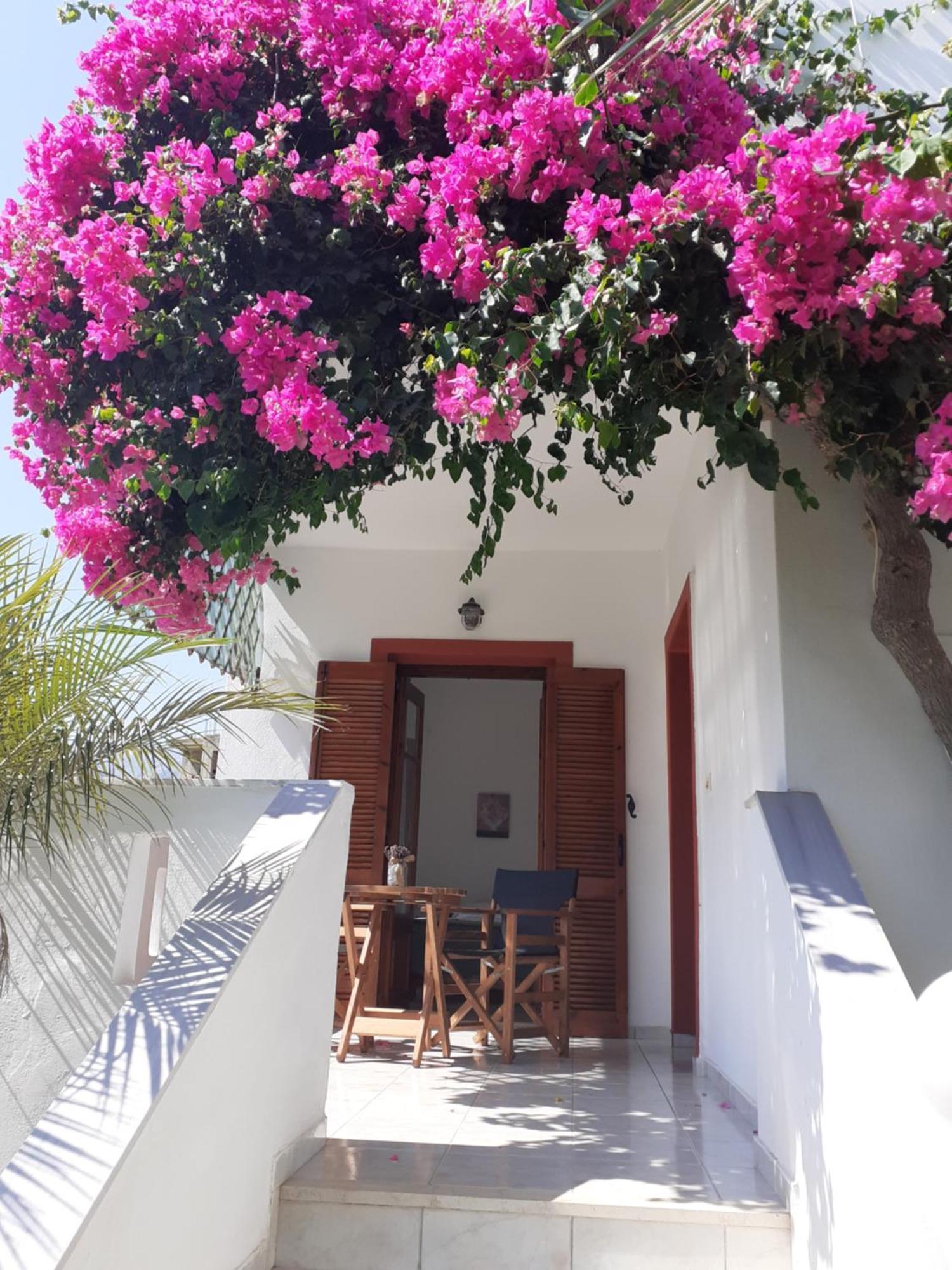 Antigoni Apartments 'Lavender Room' ميلاتوس المظهر الخارجي الصورة
